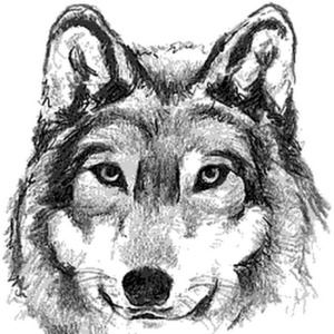 Meet your Posher, Samuel